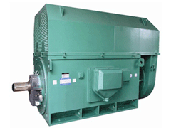 YKS4501-2/710KWY系列6KV高压电机