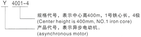 西安泰富西玛Y系列(H355-1000)高压YKS4501-2/710KW三相异步电机型号说明